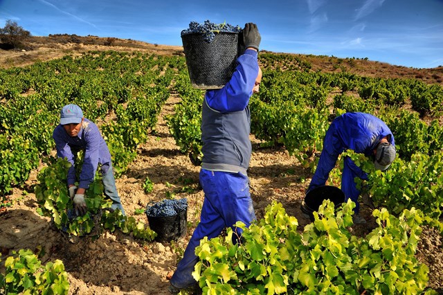 Lección de vida. Relato&nbsp;corto.